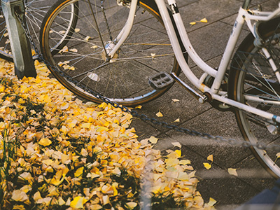 自転車の特性を知る