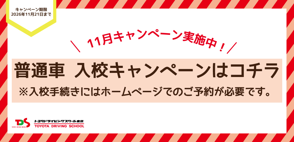 11月キャンペーン