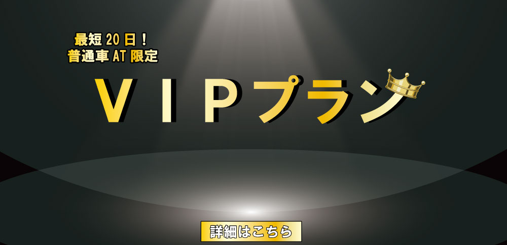 VIPプラン